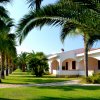 Una fila di palme costeggia un sentiero che conduce a una costruzione bianca con archi.