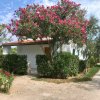 Una casa bianca con cespugli e alberi in fiore.