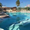 Piscina all'aperto con lettini e vegetazione circostante.