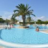 Piscina con palme e persone in acqua.
