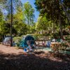 Area camping con tende blu e tavoli da picnic sotto gli alberi.