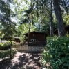 Una capanna di legno circondata da alberi e arbusti in un'area boschiva.